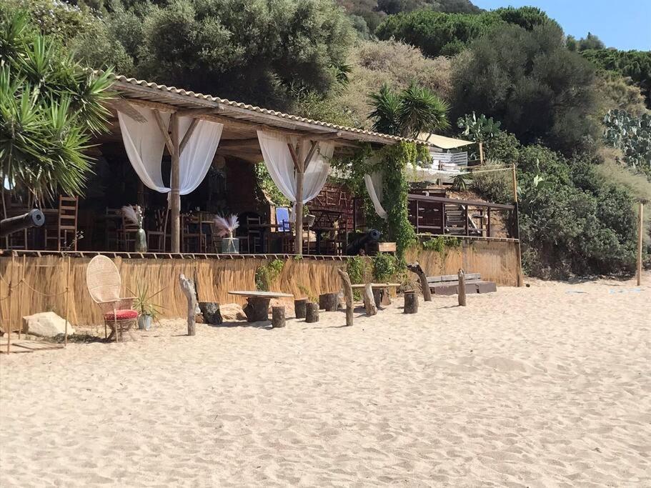 Bel App T2 En Bord De Mer Vue Sanquinaires Piscine Ajaccio  Exterior photo